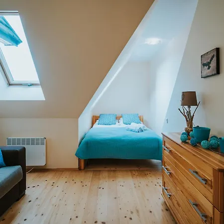 Visitzakopane - Blekitny Aniol Appartamento Kościelisko