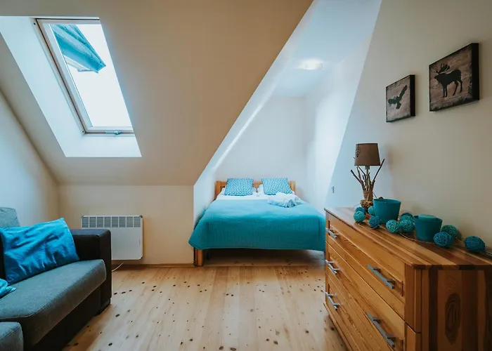 Visitzakopane - Blekitny Aniol Appartamento Kościelisko